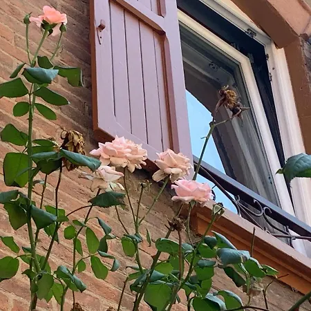 Апартаменты Casina Delle Rose *